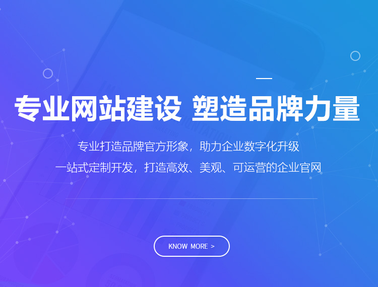 丁青建站-专业网站建设 塑造品牌力量